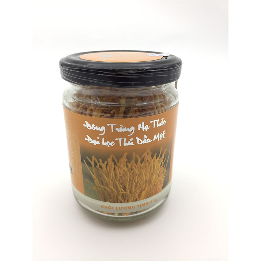 Đông trùng hạ thảo (Sợi Khô- Sấy thăng hoa)-Đại học Thủ Dầu Một (10 Gram) - Loại SỢI NGẮN CAO CẤP - (Cordycepin & Adenosine cao giúp tăng đề kháng mạnh, ngủ ngon, giảm mệt mỏi)
