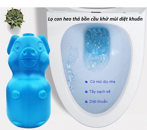 Tẩy bồn cầu hình heo