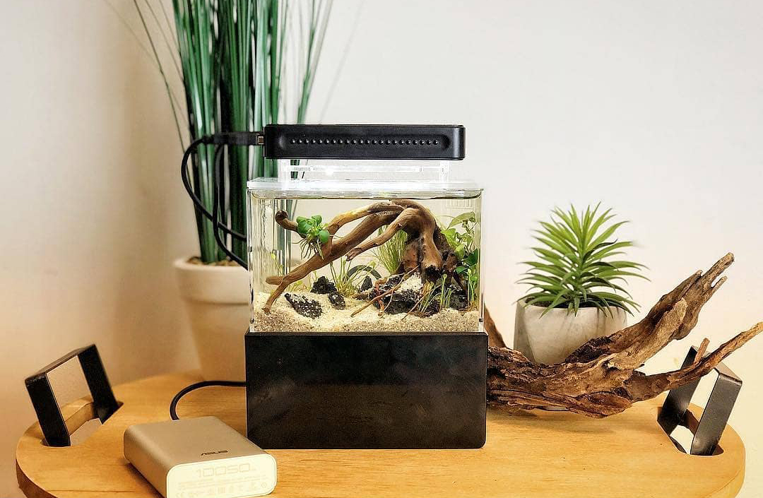 Bể cá thủy sinh Mini để bàn 01