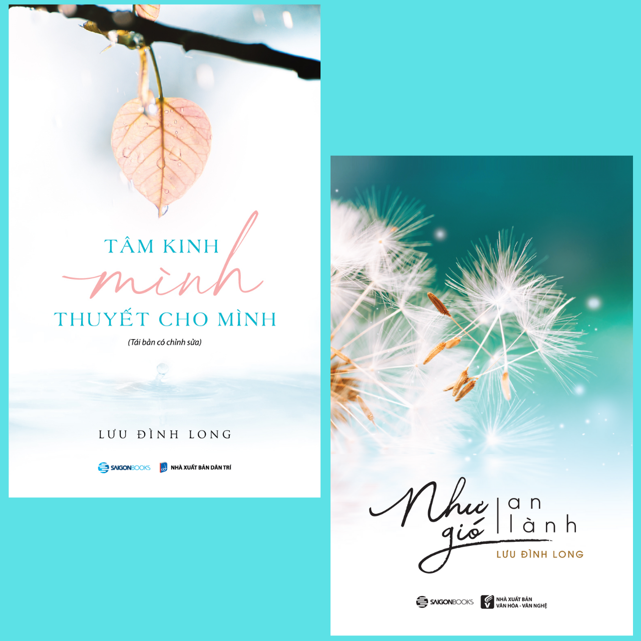 Tâm kinh mình thuyết cho mình + Như gió an lành (Bộ 2 cuốn) - Tác giả: Lưu Đình Long