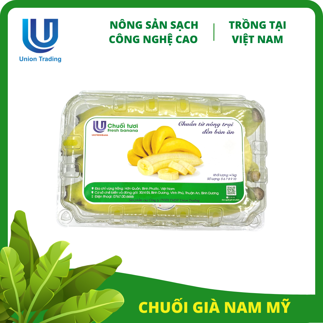 Chuối Tươi Union Trading - Hộp 1Kg - Thơm Dẻo, Giàu Dinh Dưỡng - Trồng Công Nghệ Cao Tại Việt Nam