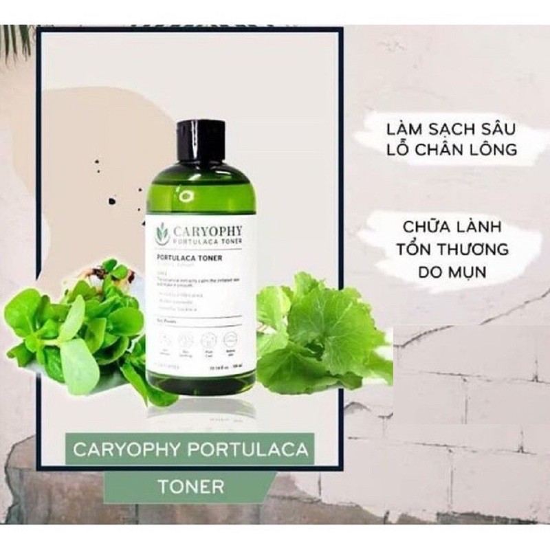 toner nước hoa hồng rau má Carophy