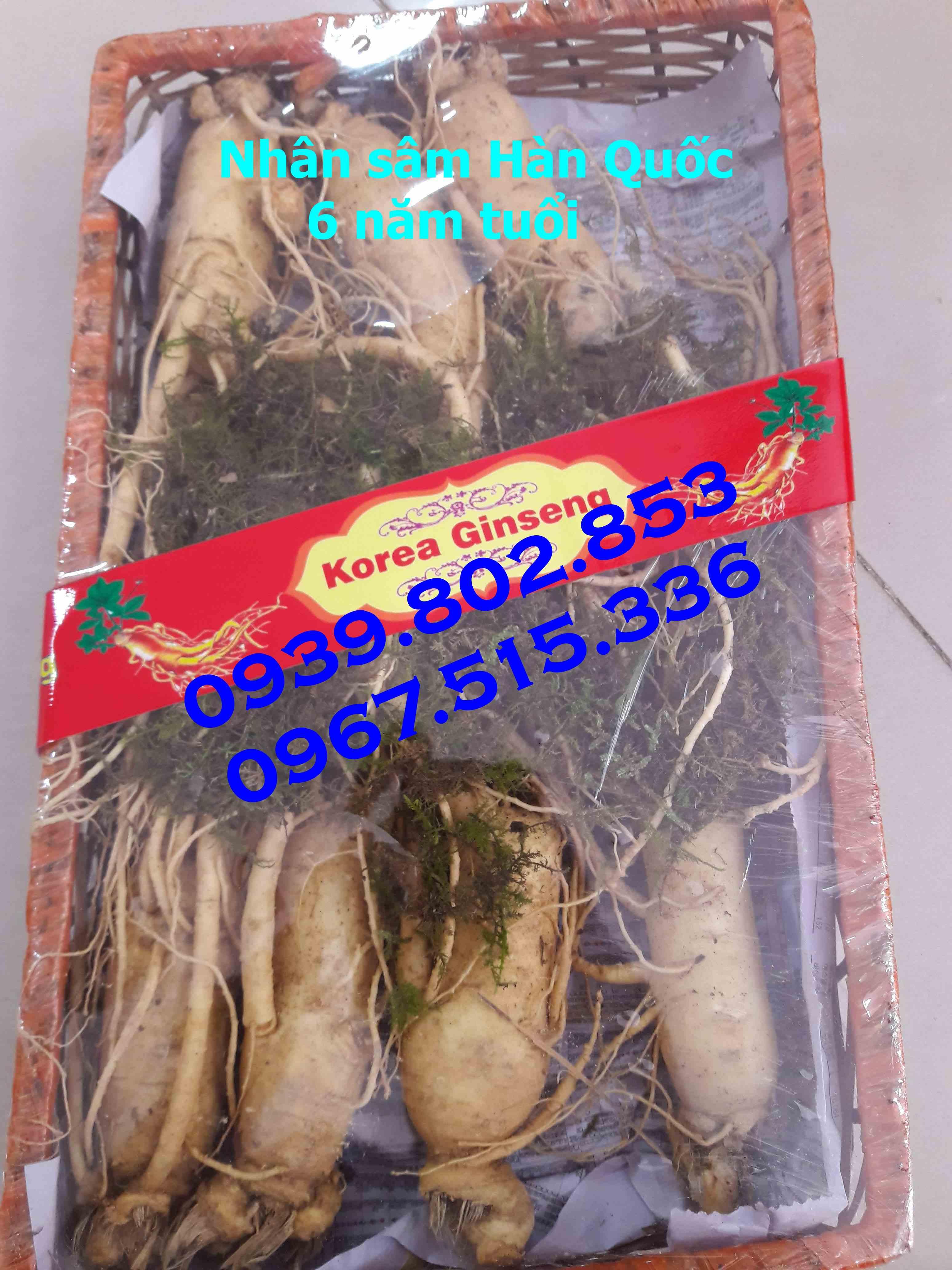 5 củ Nhân sâm Hàn Quốc 6 năm tuổi loại củ lớn