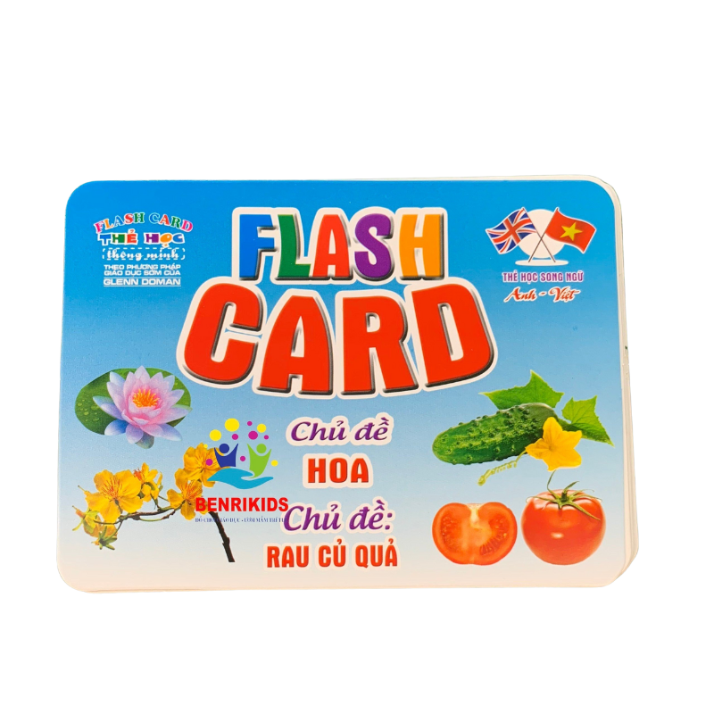 Flash Card-benrikids series smart card sets in English