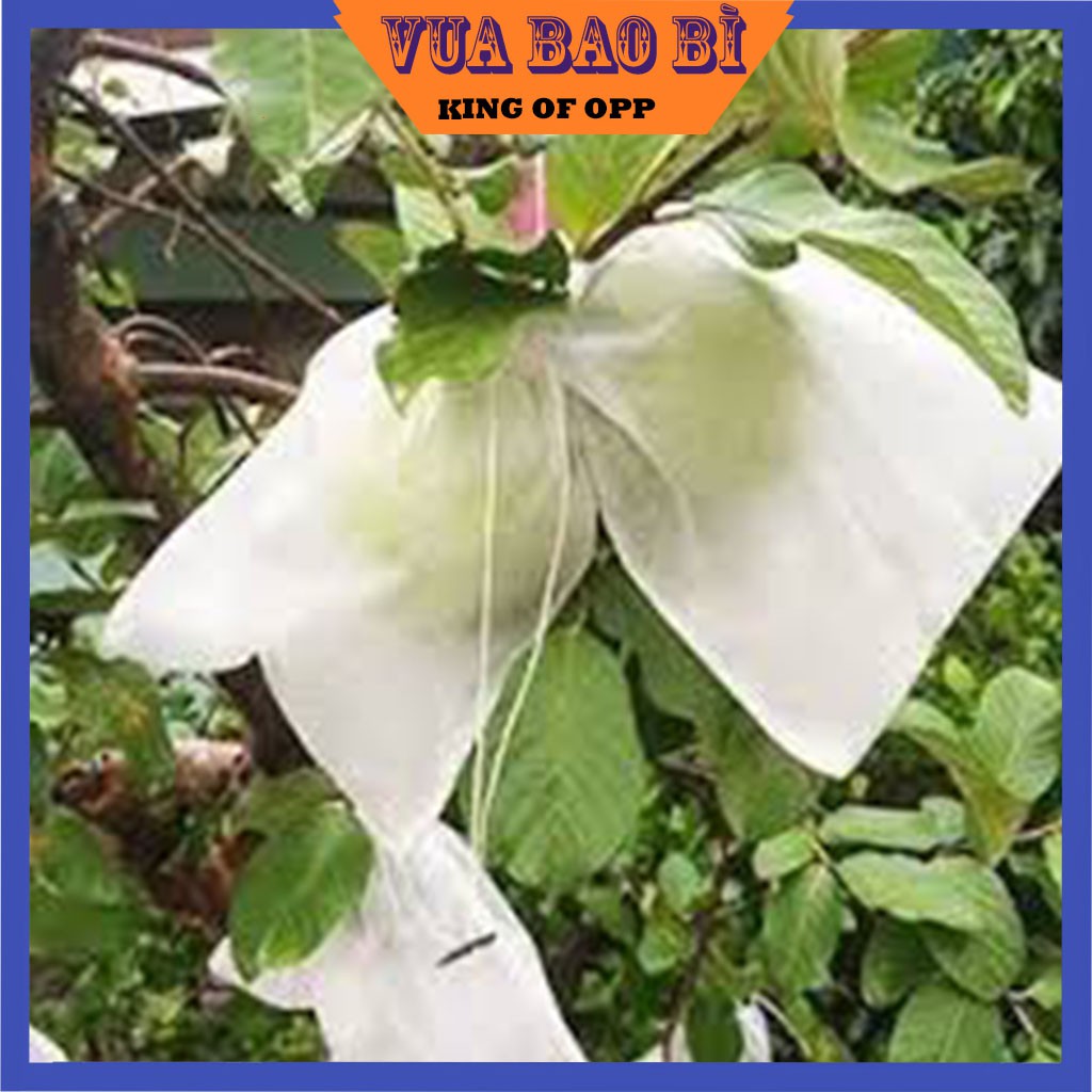  100 Túi 12x16cm Túi Bọc Trái Cây Ổi Xoài Na Dưa To Có Dây Buộc - VUA BAO BÌ 