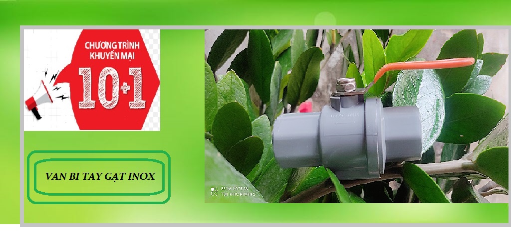 Combo 10 van bi tay gạt mua 10 tặng 1 cùng size