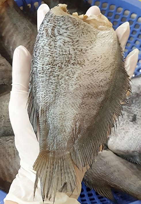 500gr KHÔ CÁ SẠC KHÔNG ĐẦU LOẠI 1 (8-9 CON /KG) ĐẶC SẢN MINH TRIẾT CÀ MAU-Vựa Khô Nam Thiên