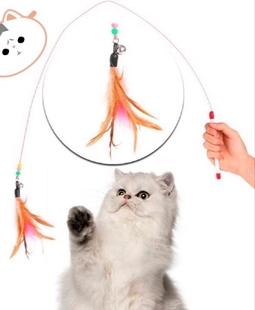 [HCM]Cần Câu Dây Thép Đồ Chơi Cho Mèo Giải Tỏa Căng Thẳng