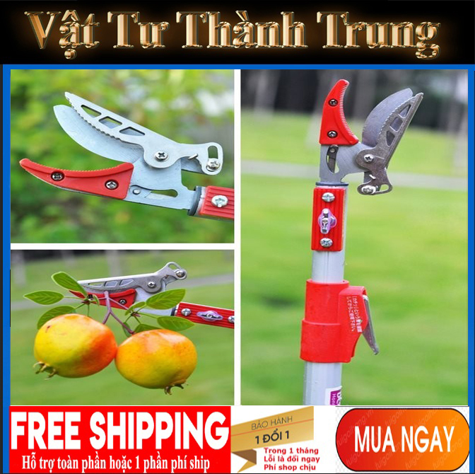 Kéo hái quả - kéo cắt cành trên cao dài 3m- gậy hái hoa quả,sào cắt quả
