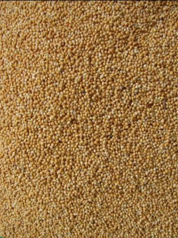 [HCM]Hạt kê gói 500g