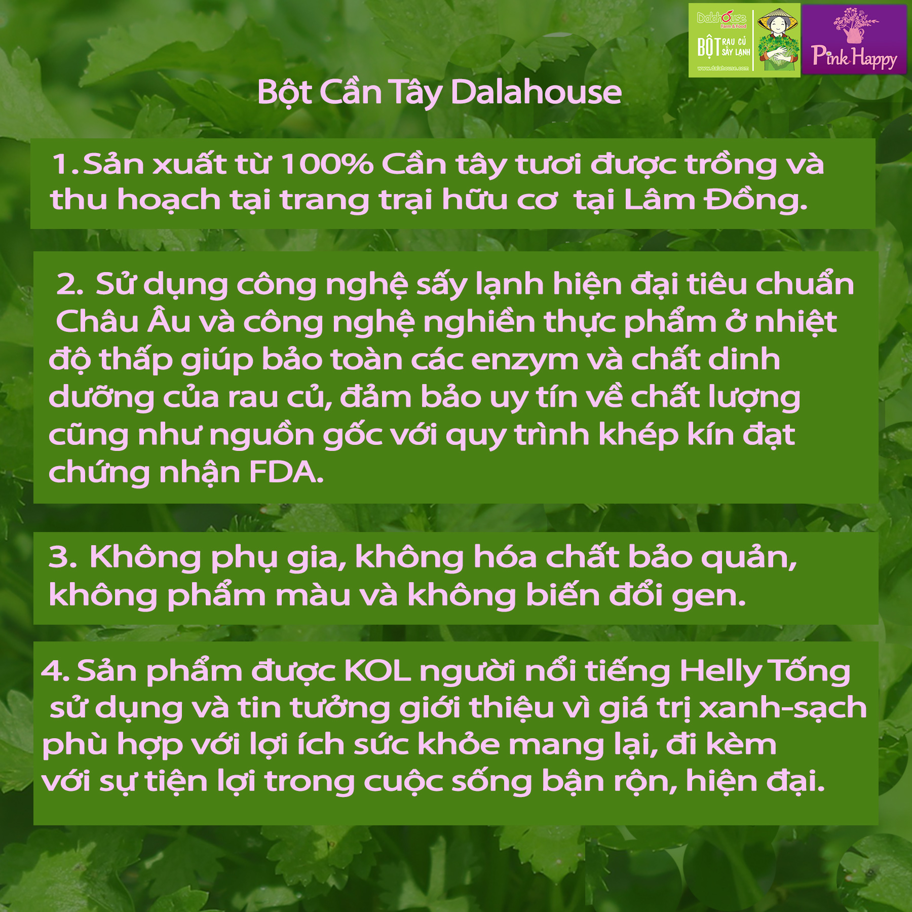 BỘT CẦN TÂY (gói lẻ 3gr) - Món Quà Ý Nghĩa Cho Mọi Lứa Tuổi! Thải Độc, Giảm Mỡ Máu, Hạ Huyết Áp, Phòng Chống Ung Thư, Bổ Sung Dinh Dưỡng, v.v