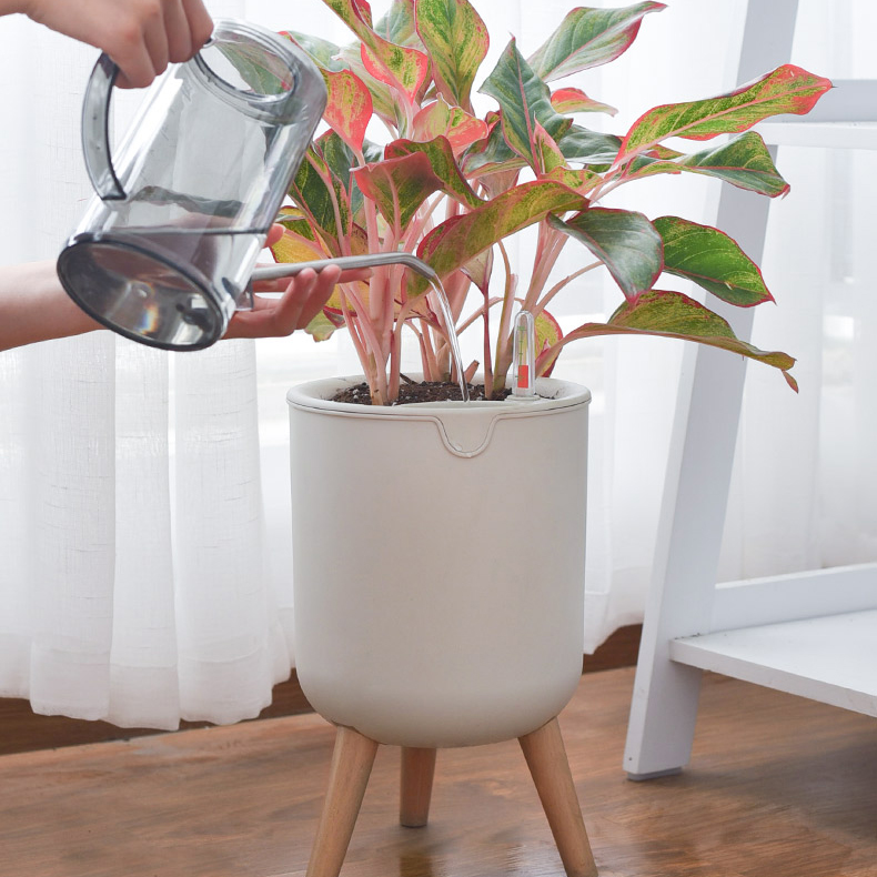 Chậu nhựa trồng cây tự tưới cao cấp M1 - Sự đột phá trong thiết kế