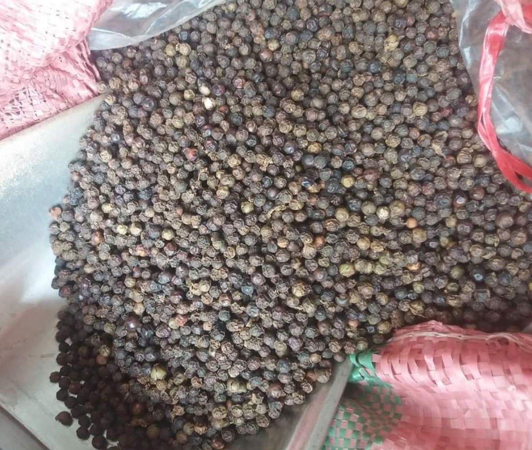 0,5 kg Tiêu đen nguyên hạt sạch tại vườn, chắc hạt, không pha tạp, không chất bảo quản, chuẩn tiêu sạch Đắk Lắk