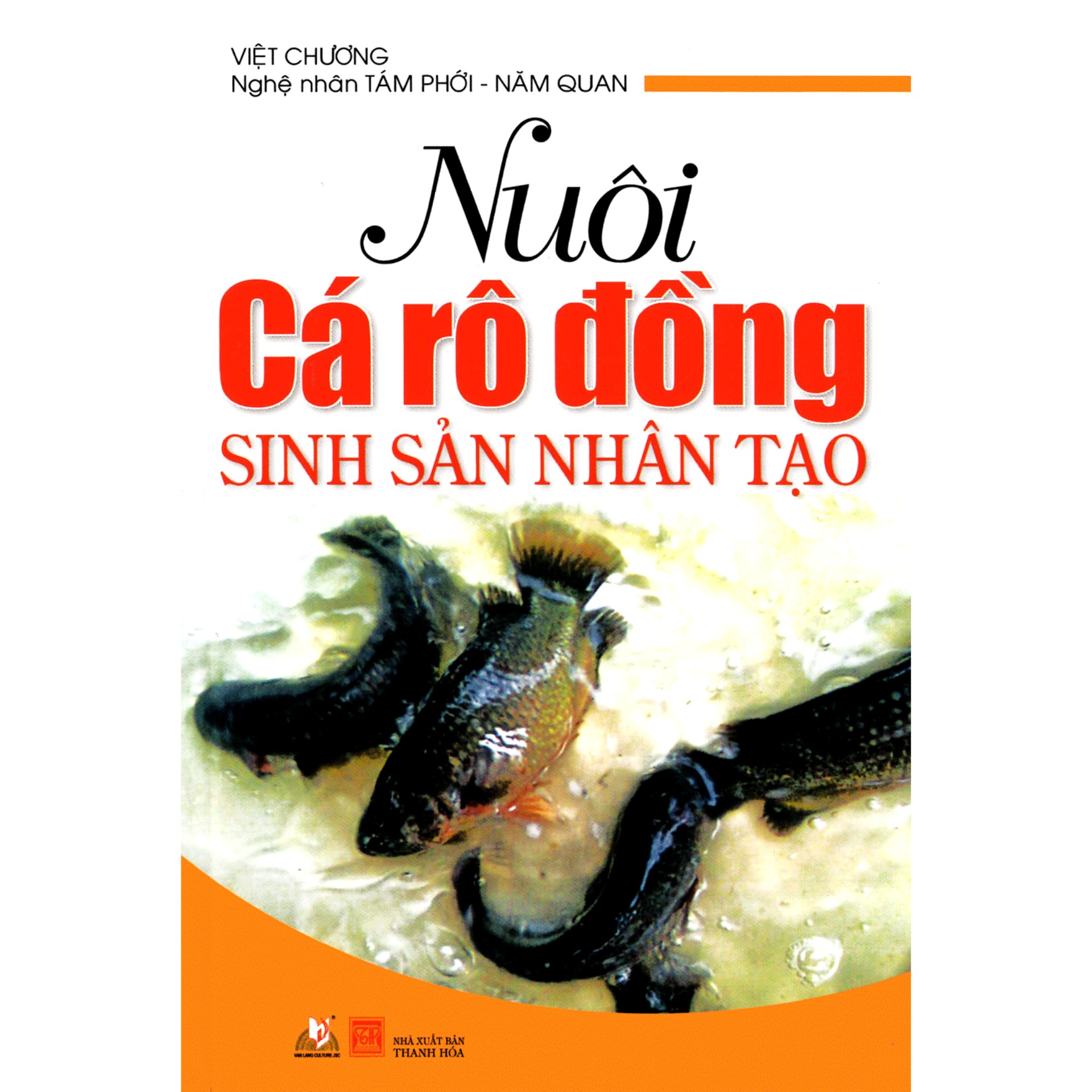 Nuôi cá rô đồng sinh sản nhân tạo
