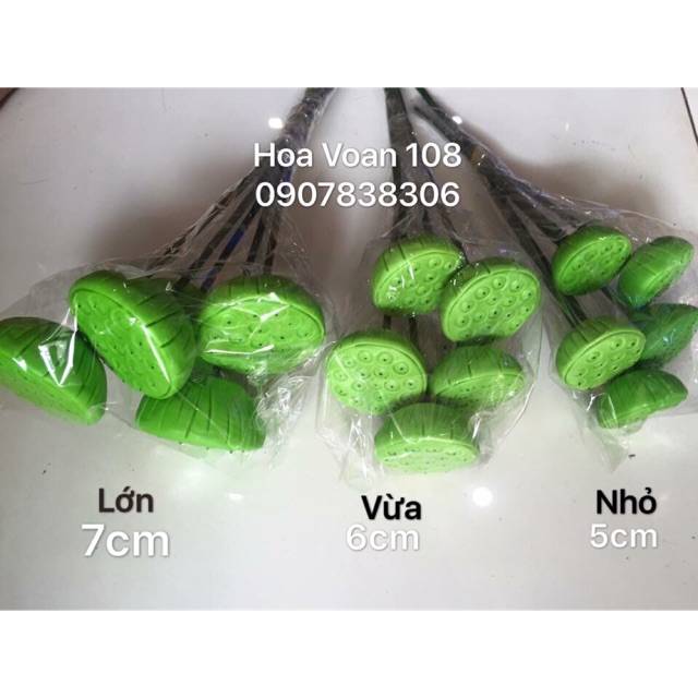 Gương sen đất sét