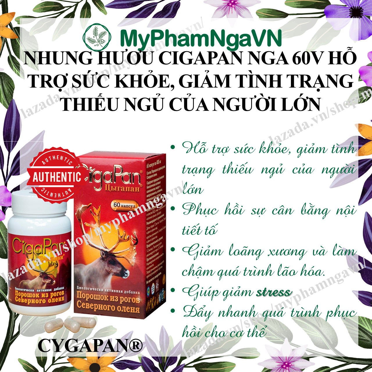 [HCM]Cigapan nga họp 60v
