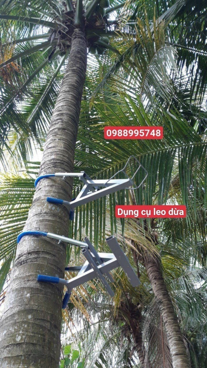 DỤNG CỤ LEO DỪA KIỂU NGỒI LEO 2024