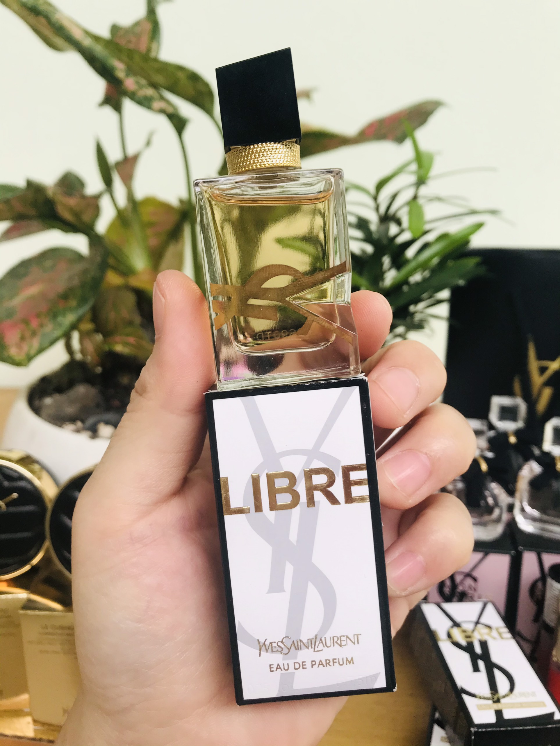 Nước hoa Yves Saint Laurent Ysl Libre Eau de Parfum nữ 7.5ml chính hãng