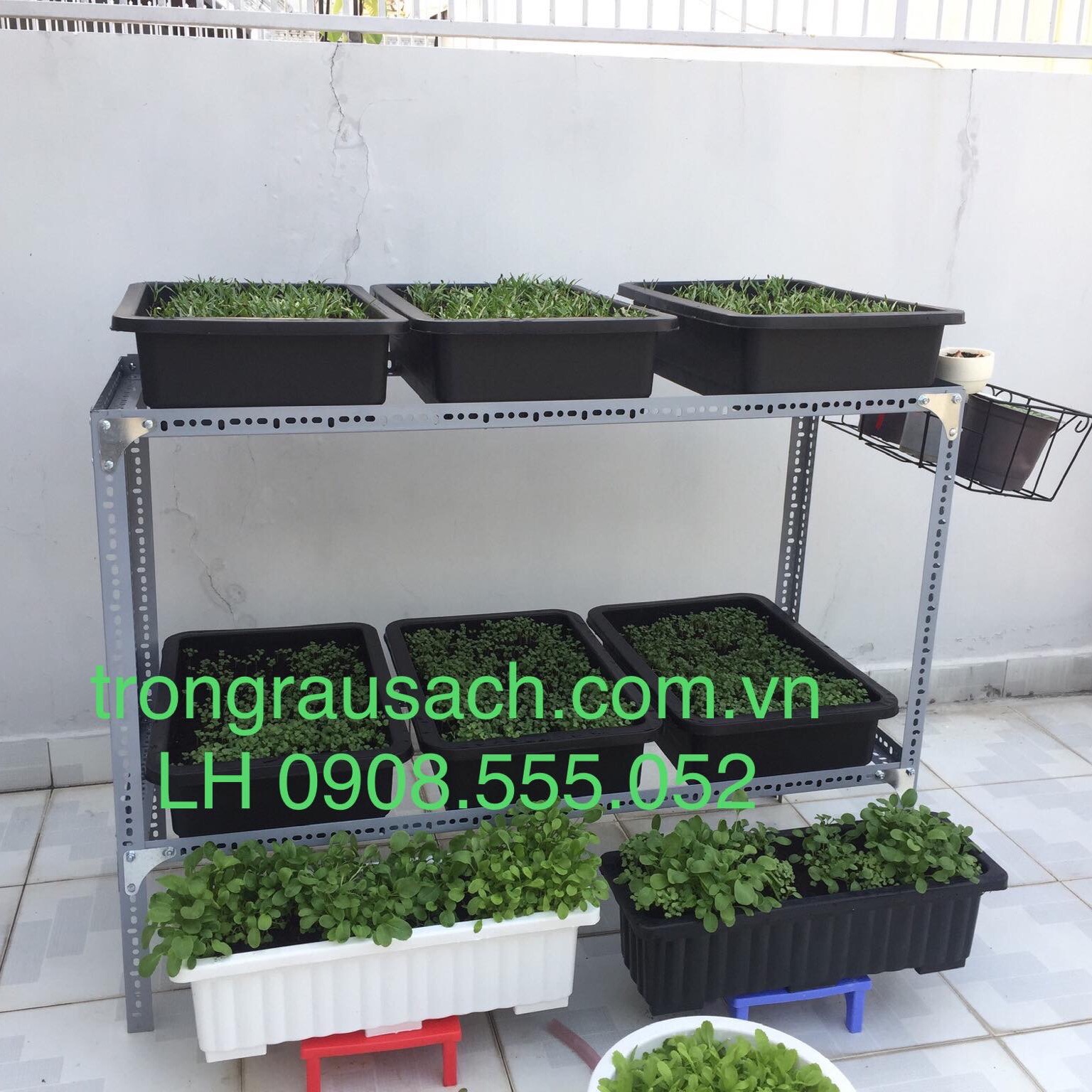[HCM]01 khay nhựa trồng rau 65x42x16cm nhựa loại 1