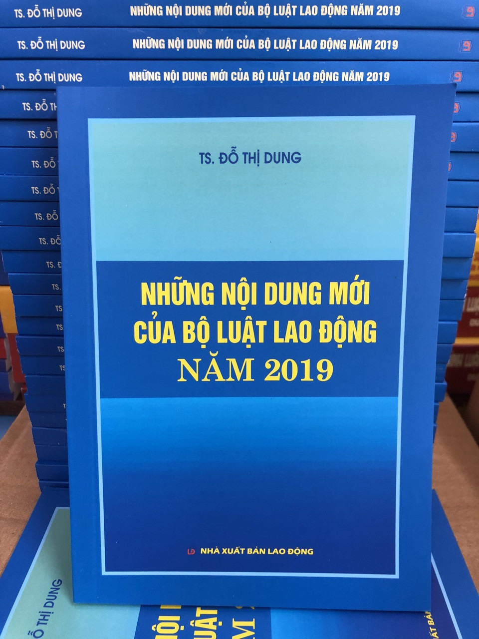 Những nội dung mới của bộ luật lao động 2019