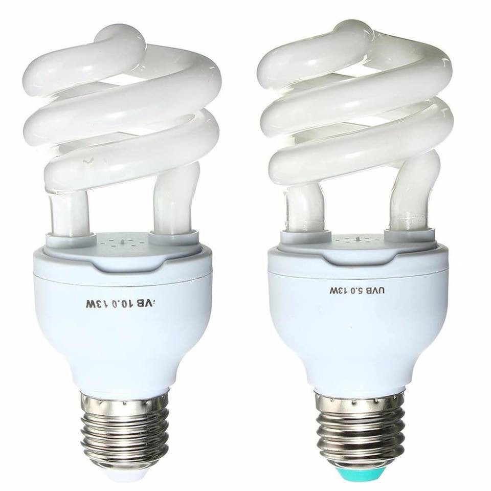 Combo Bóng đèn sưởi UVB 5.0 công suất 13w cho thú cưng, bò sát, rùa cảnh, iguana