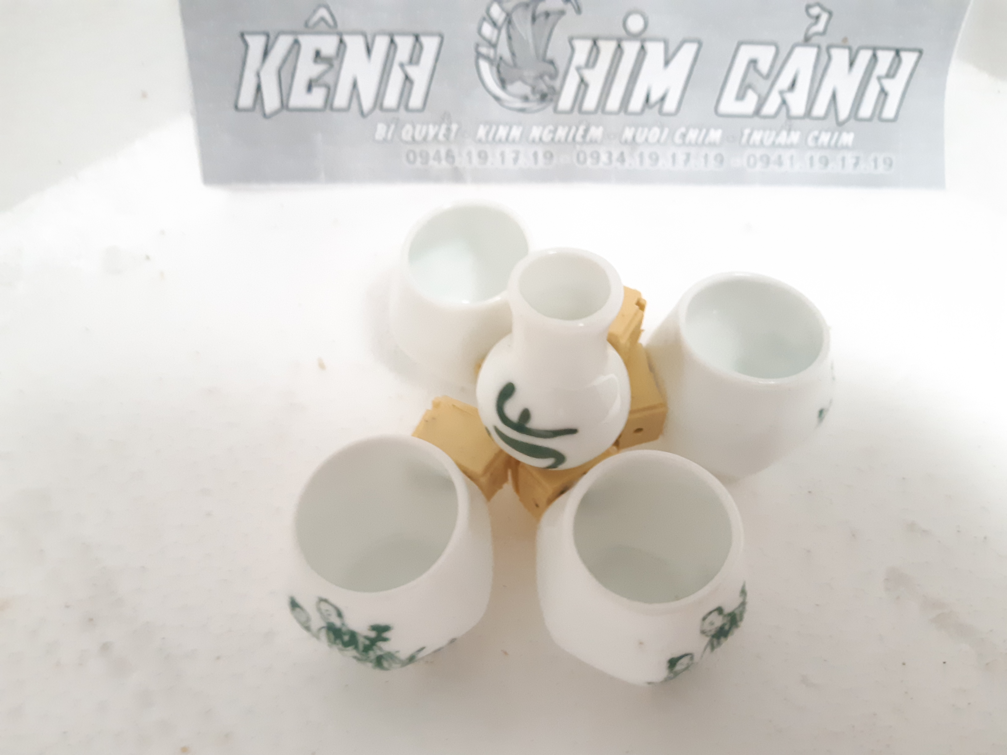 cóng cho chim ăn chim khuyên, chim sâu, chim hút mật và các loại chim nhỏ s2