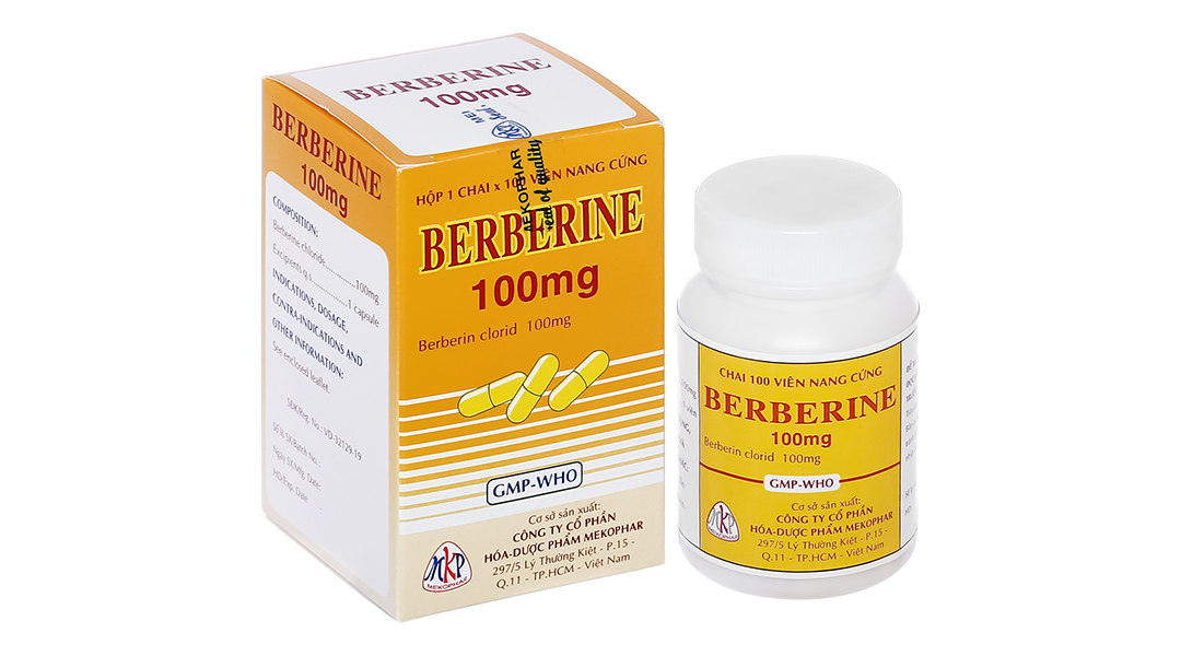 Berberine 100mg hỗ trợ tiêu chảy, kiết lỵ lọ 100 viên