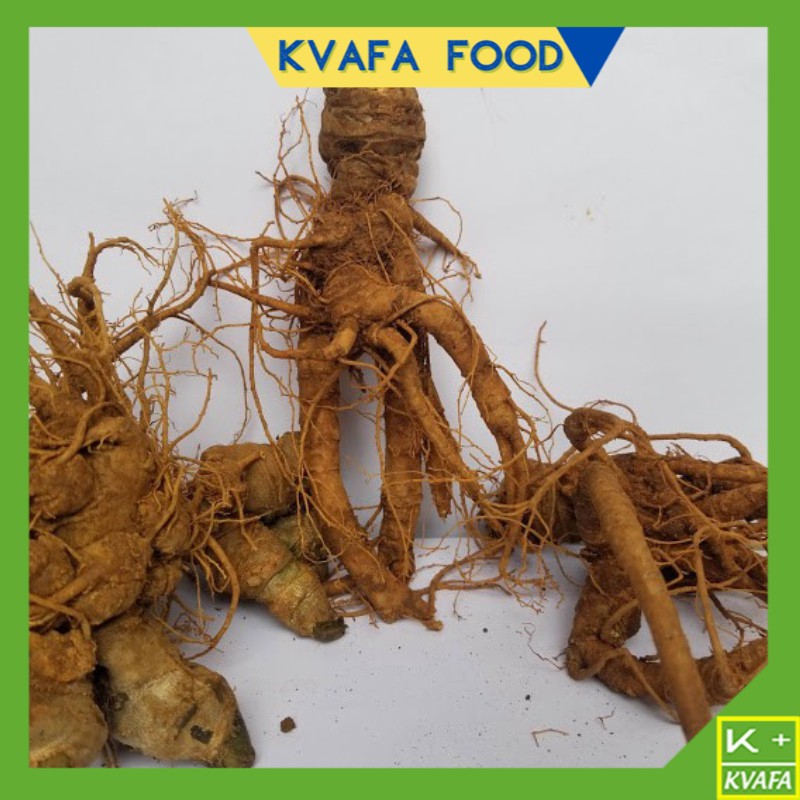 Củ tam thất tươi nguyên củ của bắc hà lào cai 1kg
