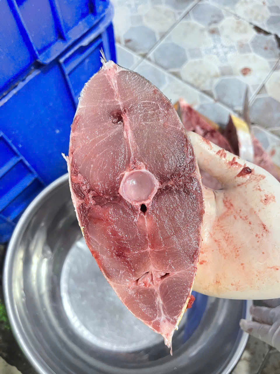 Cá bè trang tươi cắt khúc cấp đông túi 1kg - thơm ngon (giao tphcm)