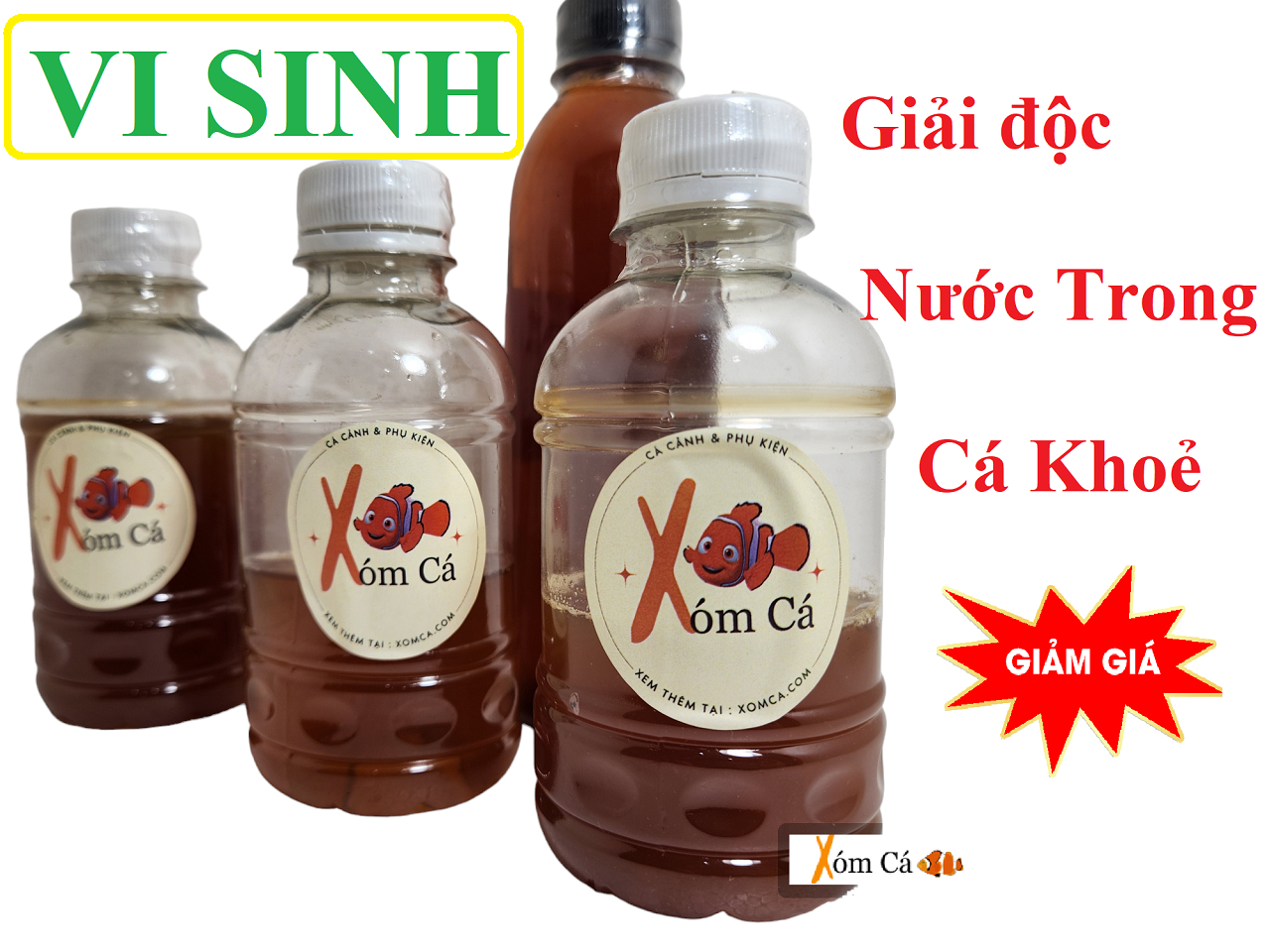 Vi sinh làm trong hồ cá - Khử khuẩn và chất hại hồ cá - Vi sinh Xóm Cá
