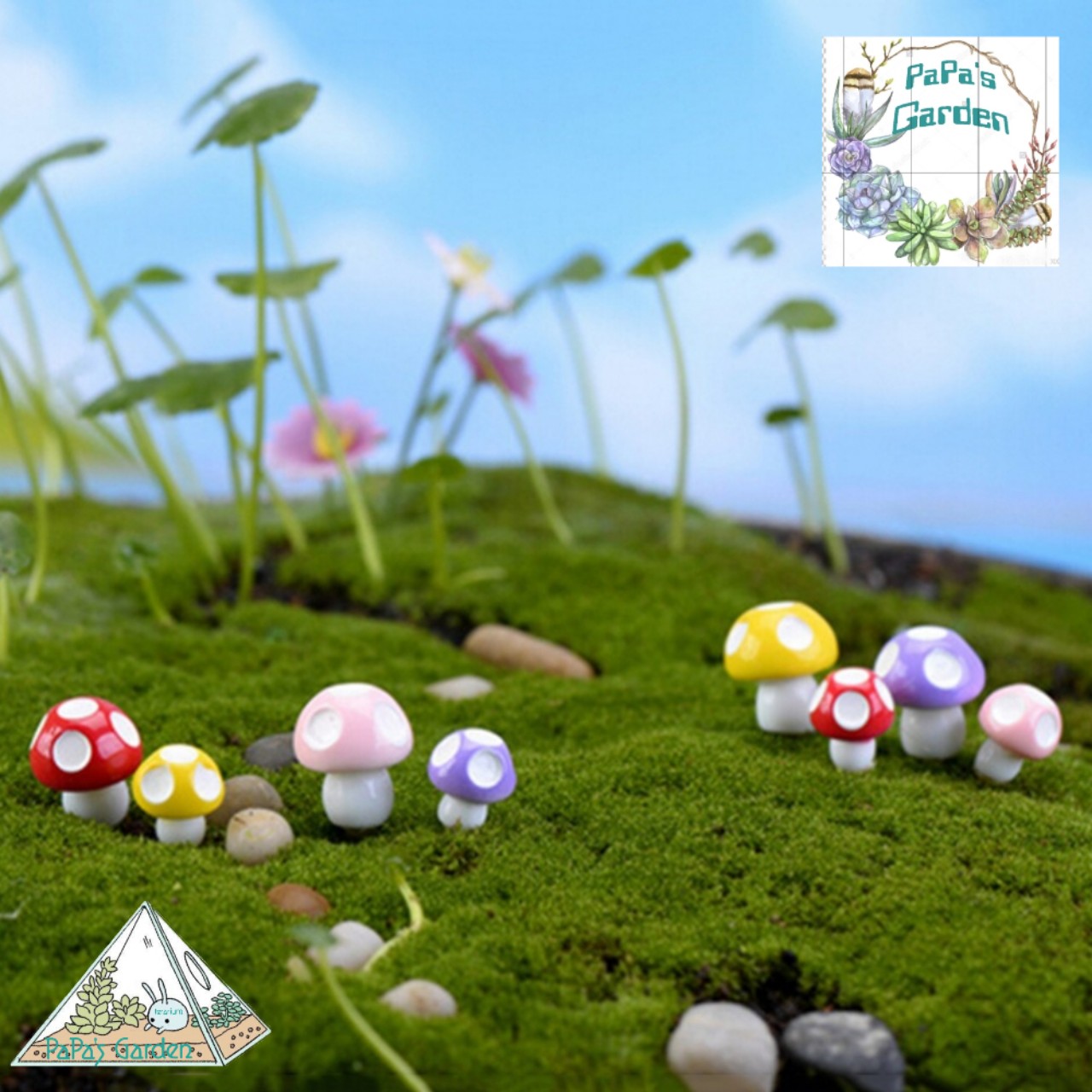 Tiểu cảnh terrarium ❤️ FREESHIP ❤️ Combo 05 Nấm mini Tiểu cảnh sen đá sân vườn bể cá