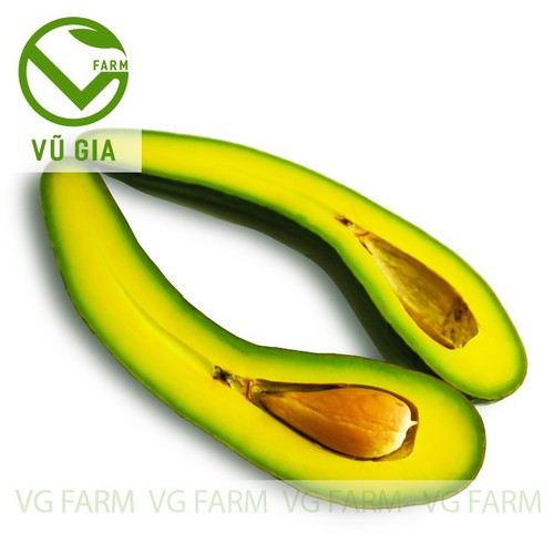 Bơ 034/ Bơ Booth Lâm Đồng ( Size VIP 2-3 trái/ kg ) - Trái già hái trực tiếp tại vườn không lo hoá chất - Cơm vàng, sáp dẻo