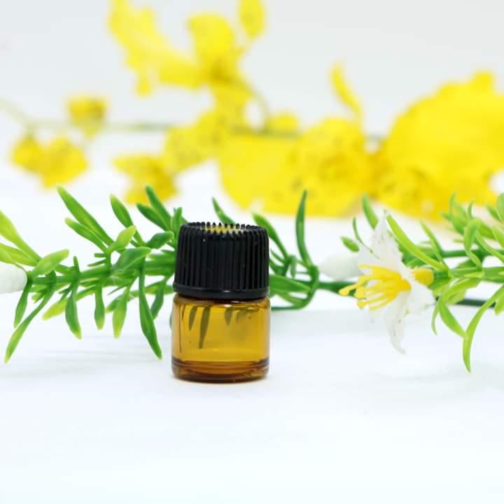 CHẤM TÀN NHANG PHƯƠNG ANH-TẶNG PHIẾU MUA HÀNG