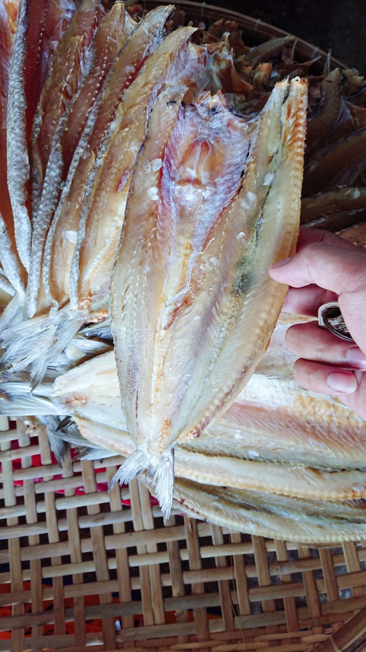 Khô cá mối mặn