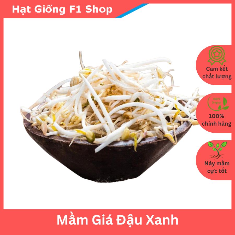 Hạt Giống Mầm Giá Đậu Xanh 50 Gam Dinh Dưỡng