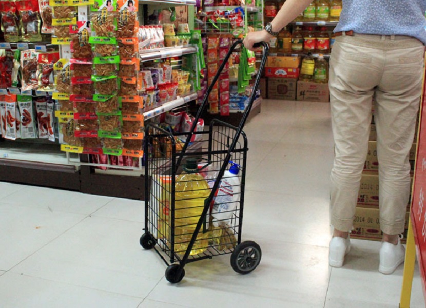 Xe kéo đi chợ giỏ kéo siêu thị vận chuyển hàng hóa đa năng cỡ nhỏ