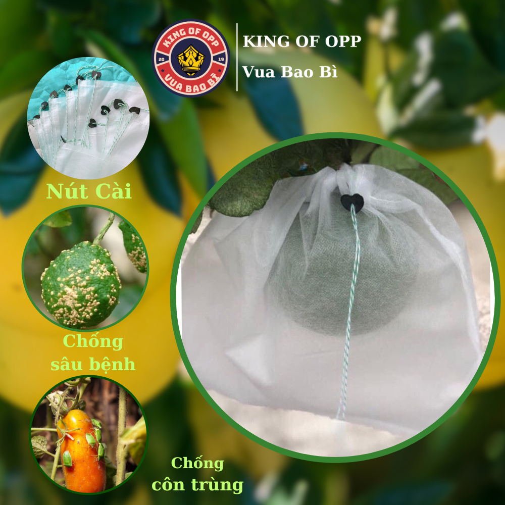 100 túi bọc trái cây 20x25cm bao bọc trái cây ổi, túi bọc trái cây xoài, na, dưa... to có dây buộc - vua bao bì