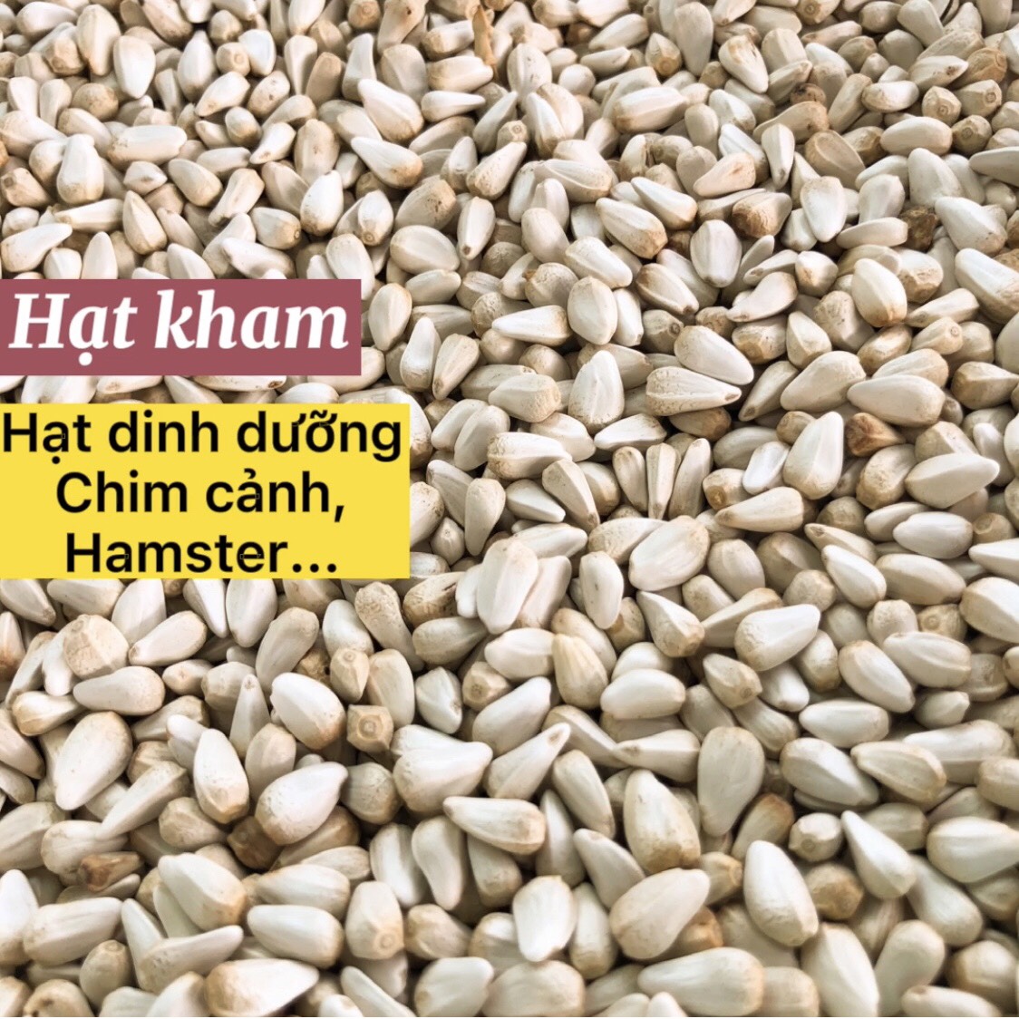 1KG hạt Kham, thức ăn cho thú cưng chim cảnh, vẹt, Hamster, gà đá, sóc, nhím