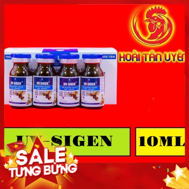 UV - SIGEN đặc trị xỗ mũi, khò khè cho gà đá 1  HỘP 10 LỌ