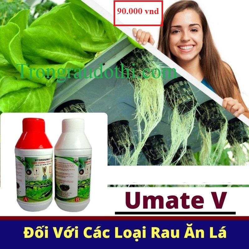 Dinh dưỡng thuỷ canh Hydroumat V