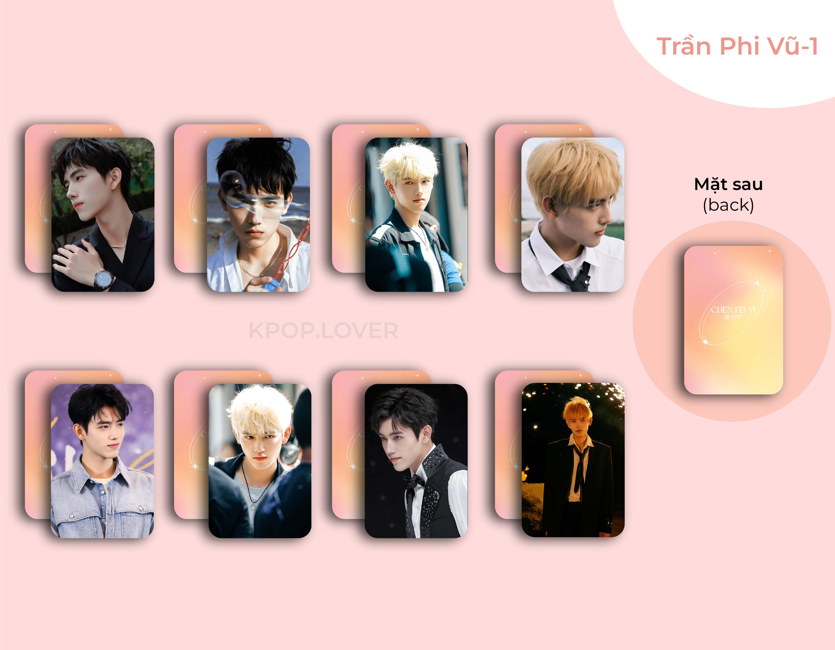 Set 8 card bo góc trần phi vũ