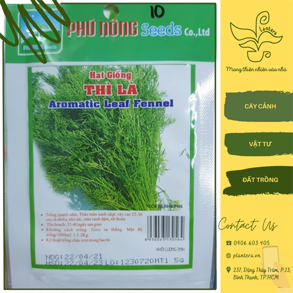 Hạt giống phú nông - thì là gói 5g - hạt giống - rau gia vị
