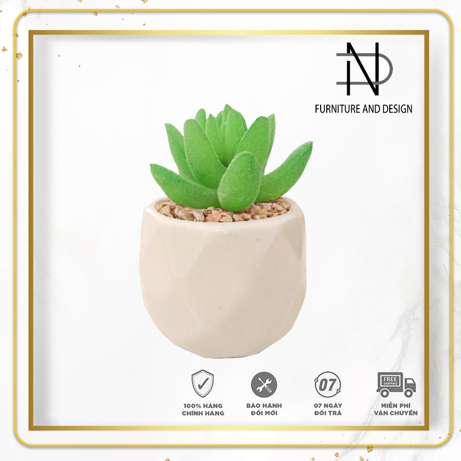 Sen đá cây giả để bàn mini trang trí, tặng kèm chậu ceramic trắng có sỏi (Trang trí bàn làm việc, trang trí phòng khách)