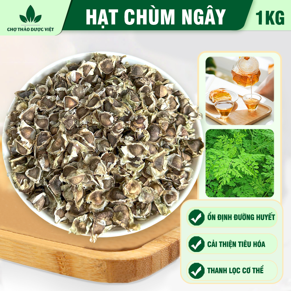 Hạt chùm ngây khô 1kg, hạt cây dùi trống, sạch, thơm - Chợ Thảo Dược Việt