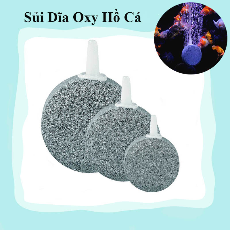 Đĩa sủi oxy siêu mịn, sủi oxy đĩa siêu mịn, sủi đĩa oxy dành cho hồ cá đường kính 4cm 6cm 8cm