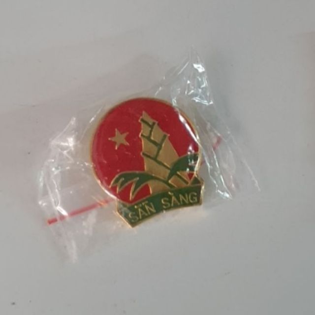 [HH-ĐỘI-7] Huy hiệu Đội đẹp, huy hiệu Đội cài áo, huy hiệu măng non ZC-Bách Hóa Online