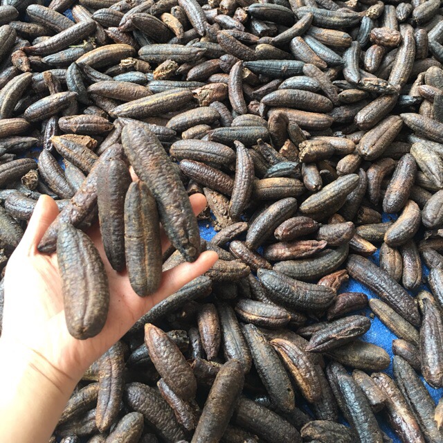 1kg Chuối Hột rừng Nguyên Quả (chuối mật ) Hàng cao cấp - Ngâm Rượu Thơm Ngon màu đẹp