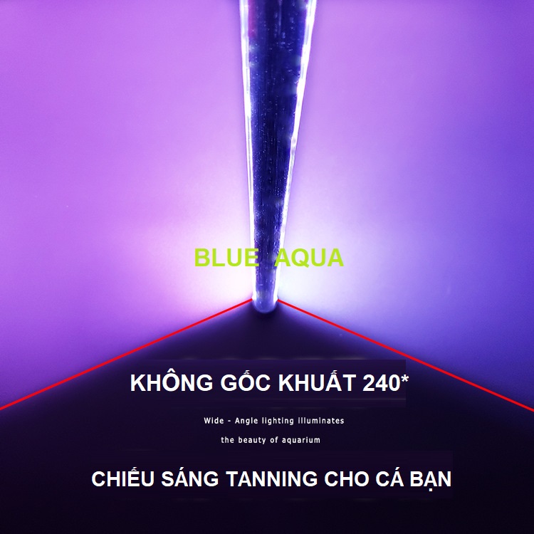 Đèn Led Ibay Màu Hồng Chuyên Tanning Cá Rồng 80cm