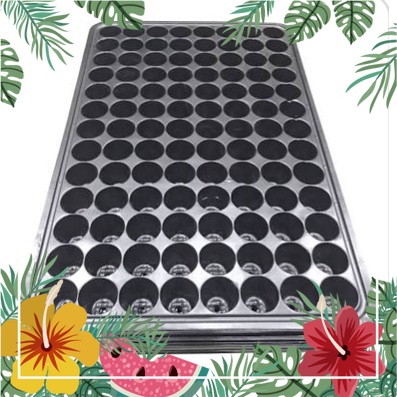 Khay ươm hạt gống 104 lỗ