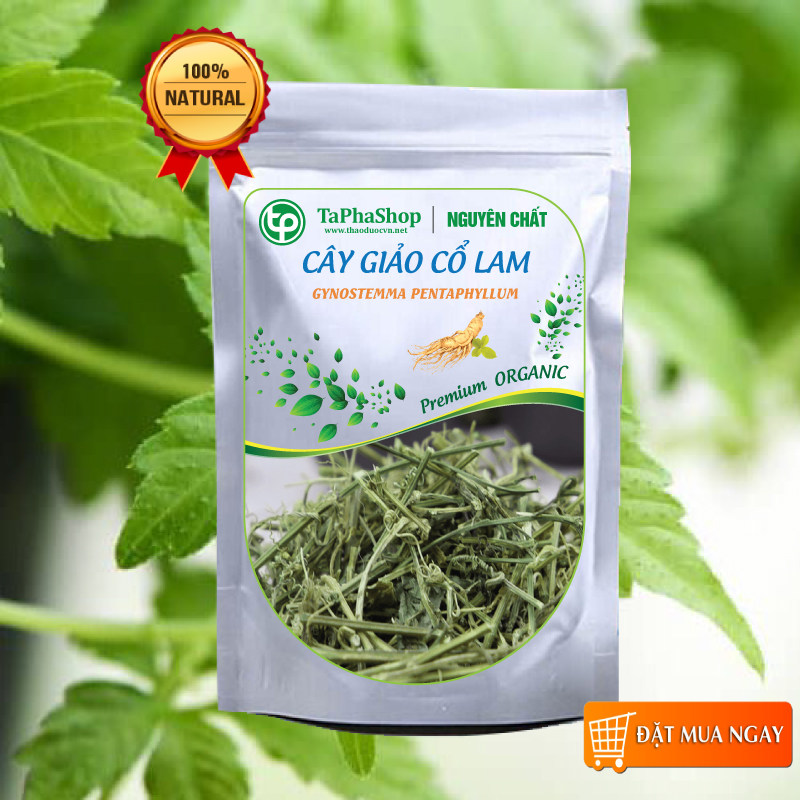 Trà giảo cổ lam khô hảo hạng 1kg - tấn phát